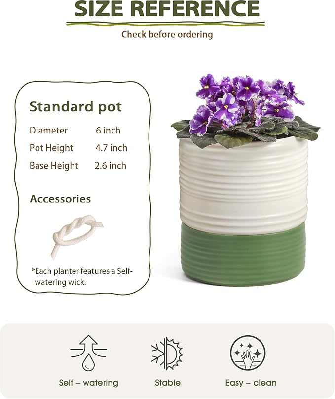 Fayoula Self Watering Pots for Indoor Plants, 6 Inch Ceramic Self Watering Plant Pot, Planter Pot with Wick Rope and Drainage Hole for African Violet Succulent Herbs (White Matte)