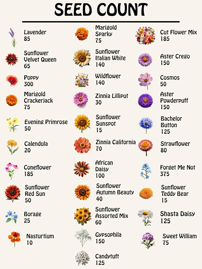 Set of 62 Premium Variety Flower Seed Packets - Heirloom Non-GMO and Proudly Sourced in The USA (62)