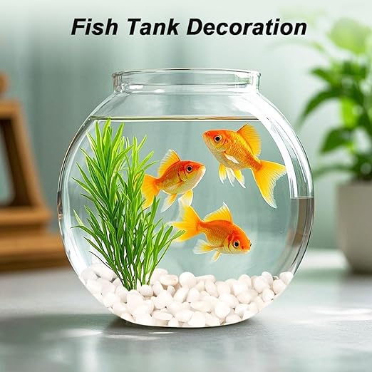 Landscaping Pebbles,River Rocks,Decorative Ornamental Pebbles,Garden Landscaping Stones,Gravel Filler for Home Decoration Flower Bed Fish Tank Plants Vases Succulents (1, White, 1 Pound)