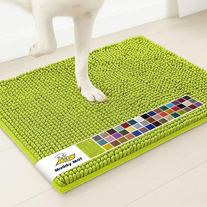 Muddy Mat® | Super Water Absorbent Door Mat Indoor, Microfiber Quick Dry Chenille Entryway Rug,Slip Resistant Front Door Mat,Indoor Mats for Entryway,Machine Washable Pet Rug, Spring Green 30" x 48"