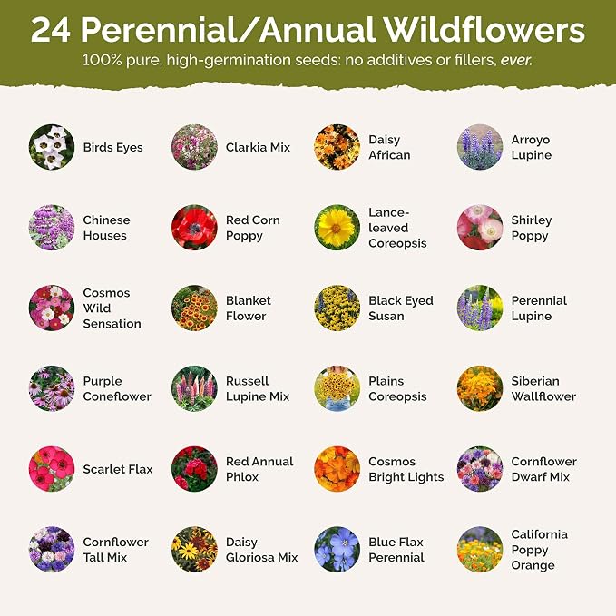 Eden Brothers Colorado Wildflower Mixed Seeds for Planting, 1 lb, 480,000+ Seeds with Cornflower, Lupine | Attracts Pollinators, Plant in Spring or Fall, Zones