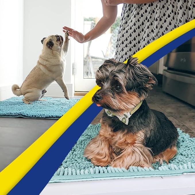 Muddy Mat® | Super Water Absorbent Door Mat Indoor, Microfiber Quick Dry Chenille Entryway Rug, Slip Resistant Front Door Mat, Indoor Mats for Entryway, Machine Washable Pet Rug, Sea Green 2ft x 4ft