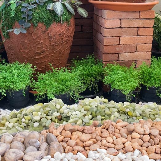 YISZM 2LB Succulent and Cactus Jade Pebbles, 3/8 Inch Natural Decorative Polished Stones, River Rocks for Indoor Plants, Vases, Planters and Outdoor Gardening