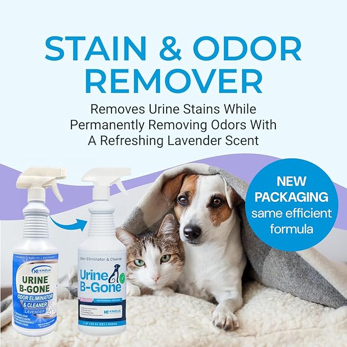 KINZUA ENVIRONMENTAL Urine B-Gone, Professional Enzyme Odor Eliminator & Pet Stain Remover, Human, Cat & Dog Urine Cleaner, Effective on Laundry, Carpets & More, Lavender Scent, 32oz