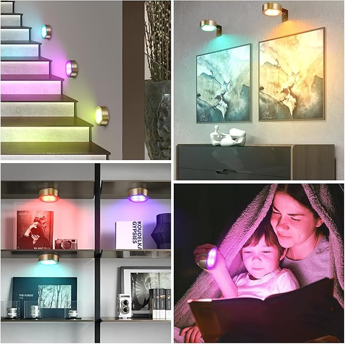 2-Pack Picture Light Battery Operated Painting Lights, 13 Color RGB Magnetic