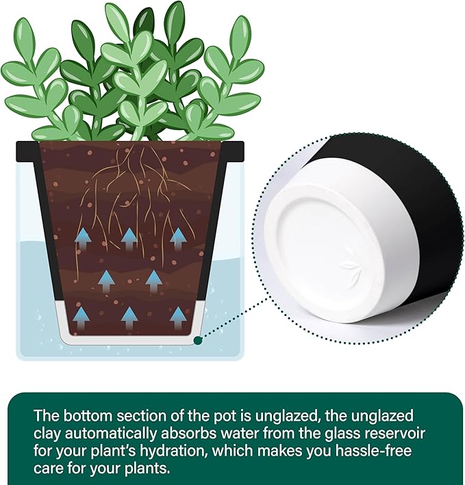 D'vine Dev 4 Inch Design Self Watering Planter for Indoor Plants, Black Terracotta Pot with Cylinder Glass Cup, Set of 2, 37-Y-A-3