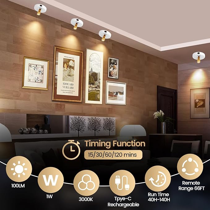 HAMVIDNE LED Spotlight, Rechargeable Battery Picture Lights, Uplighting Indoor