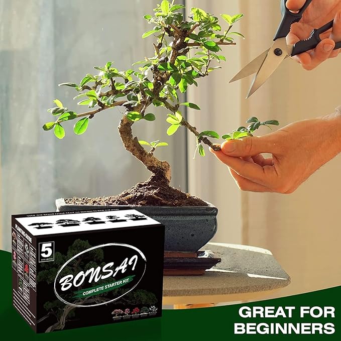 Meekear 5 Bonsai Tree Kit Complete Plant Growing Tools, Grow in Pot Indoor Bonsai Tree Starter Kit, Great Home Gardening Potted Plants DIY Gift for Adults
