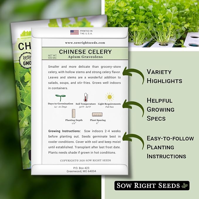 Sow Right Seeds - Chinese Celery Seeds for Planting - Non-GMO Heirloom Packet with Instructions to Plant and Grow a Home Vegetable Garden - Culinary and Compact Herb, Abundant Stalks (4)