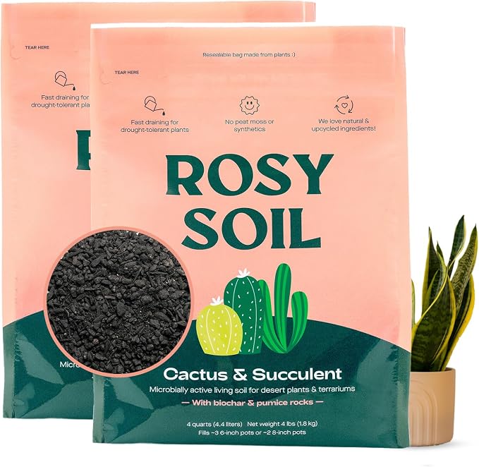 Rosy Soil Cactus & Succulent Potting Mix, 4qt, Pack of 2 | Organic Succulent Potting Soil, Chunky Fast Draining, Peat-Free, Root Boosting Mix, For AloeVera, Cacti, Indoor Succulents