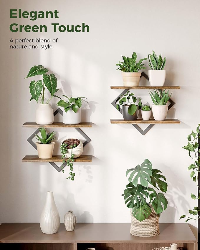 Bamworld Floating Shelves for Wall Planters for Indoor Plants Hanging Shelves