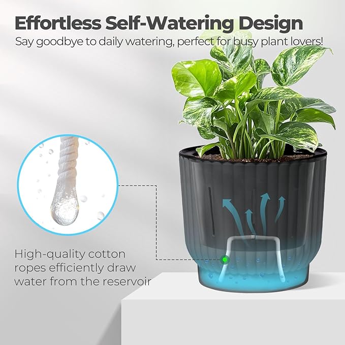 T4U 6 Inch Self Watering Pots for Indoor Plants, 6 Pack Plant Pots, Self Watering Planter for Indoor Plants, Durable Plastic Pots, Flower, Succulents (6 Pack, 6", Gray)
