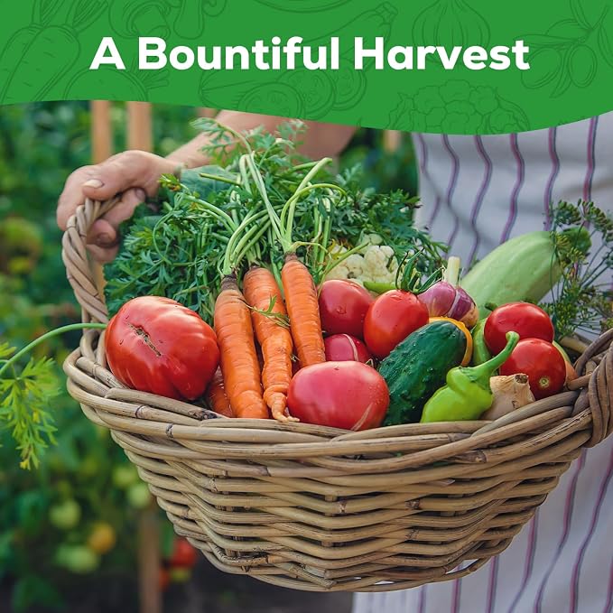 10 Vegetable Seeds Pack - Heirloom - Basil, Snap Pea, Broccoli, Bean, Jalapeño Pepper, Tomato, Lettuce, Cucumber, Carrot, Zucchini Seeds for Planting Home Garden