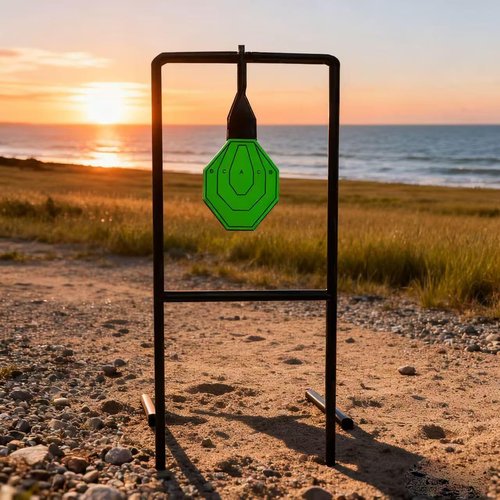 Metal Target, Backyard BB Target, Automatic Reset, Round, Iron, Portable Design, Suitable for Home Garden, Lawn, Farm, Patio, Backyard(Round)