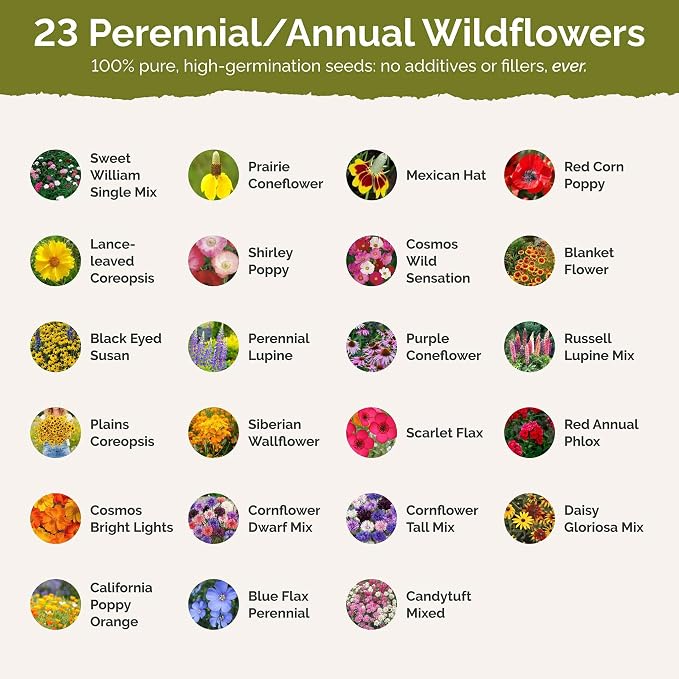 Eden Brothers Kansas Wildflower Mixed Seeds for Planting, 1 oz, 30,000+ Seeds with Candytuft, Cosmos | Attracts Pollinators, Plant in Spring or Fall, Zones
