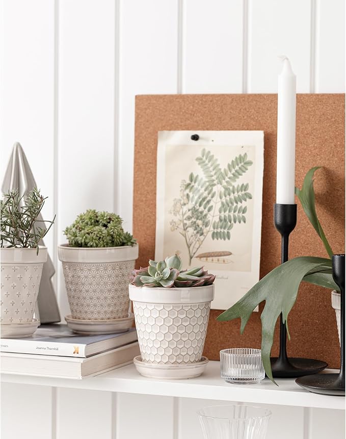 Ceramic Succulent Pots with Drainage Hole & Saucer, 4 Inch Small Plant Pots, Ceramic Planter for Indoor Plants, Embossed Flower Pots, Home Decor, Set of 4, Off-White