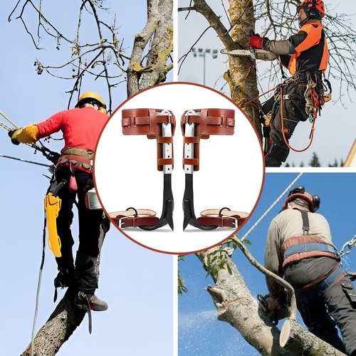 MYCGJH Upgrade Leather Tree Climbing Spikes Set, Adjustable Tree Climbing Gear Pole Climbing Spurs Tool with Harness Belt Scissors & Saw for Climbing Trees, Picking Fruit, Logging