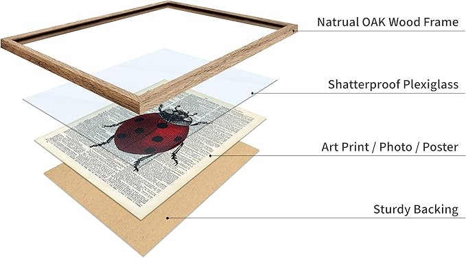 Poster Master Dictionary Art Poster - Retro Ladybug Print - Insect Art - Red Bug Art - Gift for Men, Women & Animal Lover - Minimal Decor for Living Room & Kid's Room, 8x10 Beige Framed