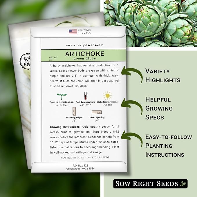 Sow Right Seeds - Artichoke Green Globe Seeds for Planting - Non-GMO Heirloom Packet with Instructions to Plant and Grow an Outdoor Home Vegetable Garden - Perennial - Tall with Edible Flower Buds (1)