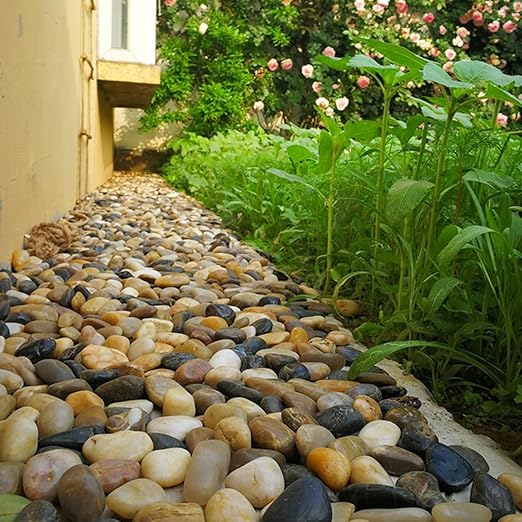 YISZM 10lbs Pebbles for Indoor Plants, 2-3 Inch Mixed Color High Polished Large River Rocks Outdoor Decorative Stones Vase Filler Fish Tank Aquariums Landscaping Garden Outdoor and Indoor DIY