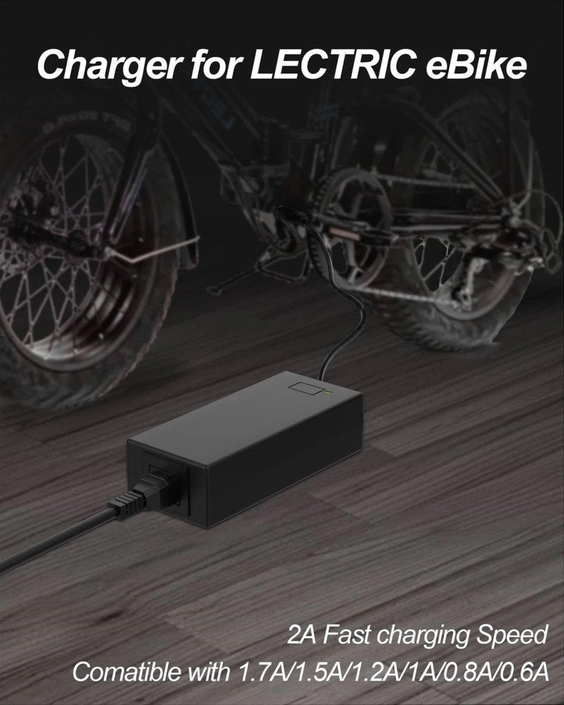 WUKUR 54.6V 2A Electric Bike Charger for 48V Lithium Batteries Compatible with Lectric XP 3.0/2.0, for Heybike Mars/Mars 2.0/Race Max/Sola, for Evercross H5/H7 Ebike