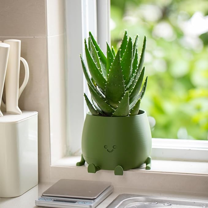 TOPOLA Happy Face Planter, 5.2 Inches Plastic Plant Pot, Self Watering Plant Pot with Drainage Holes for Indoor Outdoor, Succulent Pot, Funny Flower Pot, Dark Green
