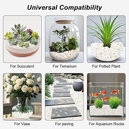 Landscaping Pebbles,River Rocks,Decorative Ornamental Pebbles,Garden Landscaping Stones,Gravel Filler for Home Decoration Flower Bed Fish Tank Plants Vases Succulents (1, White, 5 Pounds)
