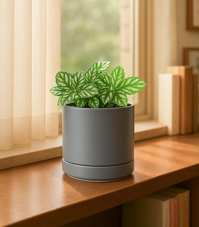 D'vine Dev 4.7 Inch & 6.5 Inch Ceramic Planter Pots for Plants with Drainage Hole and Saucer, Small Plant Pots Set, Speckled Grey, 94-G-S-3