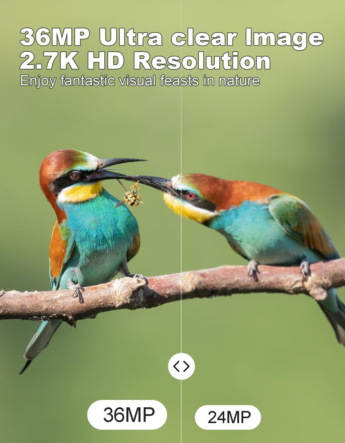 KJK Mini Trail Camera, 36MP 2.7K Game Camera,32GB Memory Card with Night Vision 0.1s Trigger Time Motion Activated 130°Wide-Angle, Waterproof Trail Cam with 2.0” HD TFT Screen