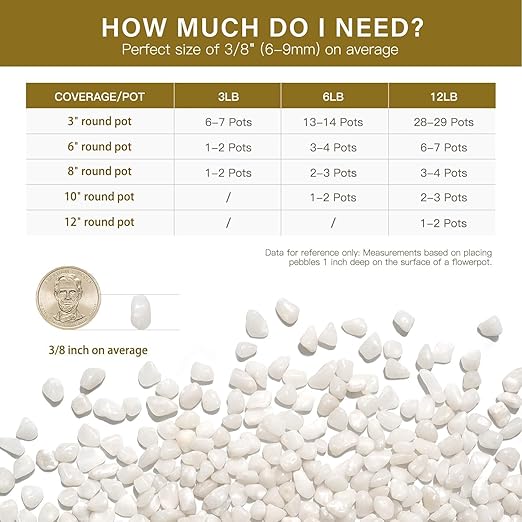 NUPICK 6 lbs Pebbles for Indoor Plants, 3/8 Inch Pea Gravel for Fish Tank, Polished Decorative Rocks for Succulent, Natural River Stones for Vases, Cactus, Landscaping, Bird Bath, Aquarium, White