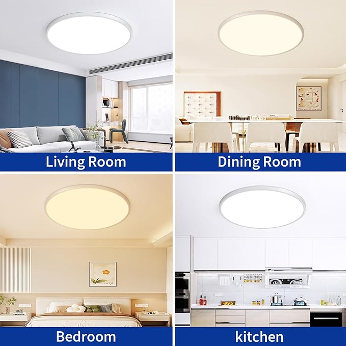Modern 20'' Led Ceiling Light Fixture, Ultra Thin Flush Mount, Dimmable with Remote Control, 48W, 4800Lumen, Silver, Round, for Bedroom, Living Room, Kitchen, Dining Room, Home Office
