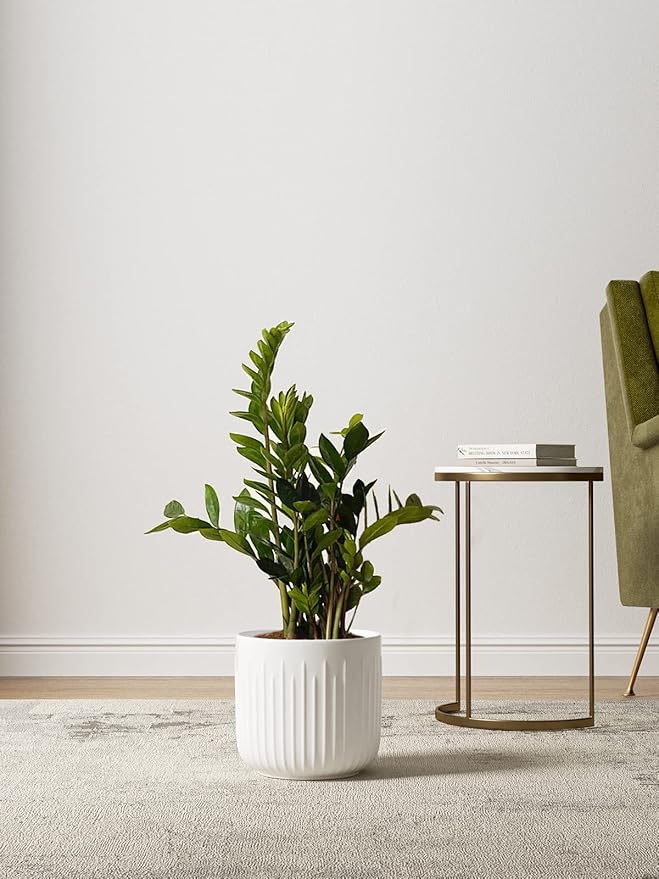 LE TAUCI Ceramic Planters, 8.3/7/6 Inch Indoor Pots for Plants with Drainage Holes & Mesh, Modern Matte Glaze Cylinder Fluted Plant Pot for Snake Plant, Set of 3, White