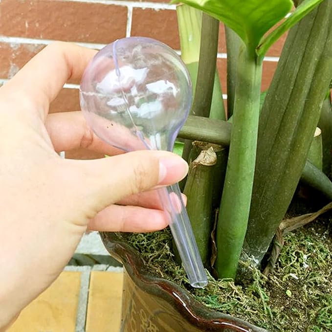 Pynqdfu 8 Pcs Clear Plant Watering Globes,Plastic Self Watering Bulbs Ball,Garden Water Device for Plant Indoor Outdoor(Small)