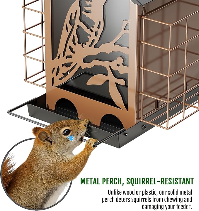 Birdream Bird Feeders for Outdoors, 5 Lbs Metal Bird Feeder with Double Suet Cages, 2 in 1 Mixed Seeds Suet Feeder, Large Capacity & Weatherproof Metal Roof, Attract Cardinals Wildbird Woodpecker