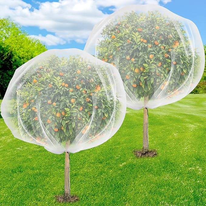 2PCS Fruit Tree Netting with Drawstring, 8.2 x 6.6 ft Ultra-Fine Mesh Garden Insect & Bird Protection Cover, Breathable Reusable Tree Netting for Citrus, Apple, Peach & Shrubs