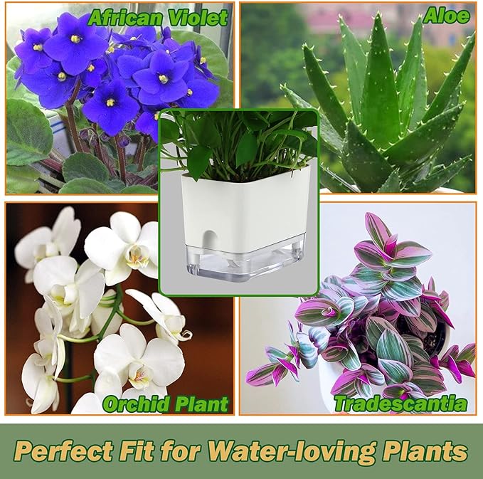 Planterhoma Self Watering Plant Pots for Indoor Plants 7/10 inch, 2 Packs Rectangle Self-Watering Planters with Drainage Hole, White African Violet Pots for Devil's Ivy, Spider Plant, Orchid, Herb