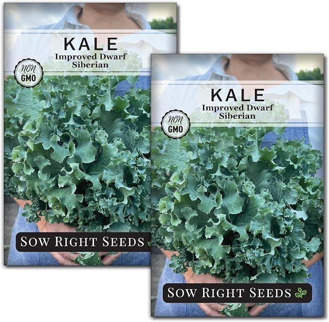 Sow Right Seeds - Dwarf Siberian Improved Kale Seed for Planting - Non-GMO Heirloom Packet with Instructions to Plant a Home Vegetable Garden - Very Nutritious Superfood - Classic Variety (2)