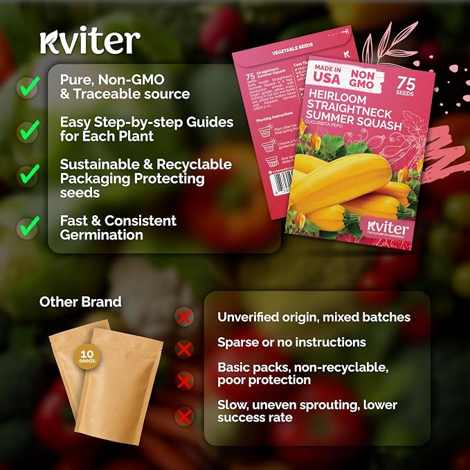 KVITER 75 Straight Neck Squash Seeds (Cucurbita Pepo) - Yellow Summer Squash, Non GMO Heirloom Seed Packets, High Yield, Mild Flavor - Vegetable Seeds for Containers and Outdoor Garden