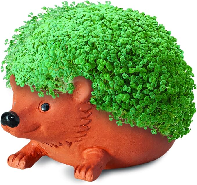 Chia Pet Hedgehog with Seed Pack, Decorative Pottery Planter, Easy to Do and Fun to Grow, Novelty Gift, Perfect for Any Occasion, Terra Cotta