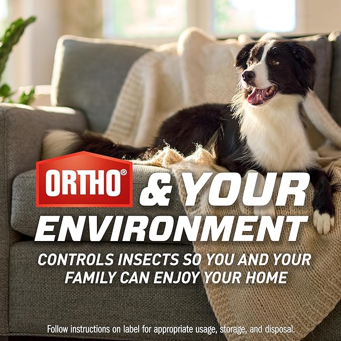 Ortho Home Defense Max Indoor Flying Insect Trap Refills, Light Trap for House Flies, Fruit Flies, and Gnats, 3 Refill Cartridges