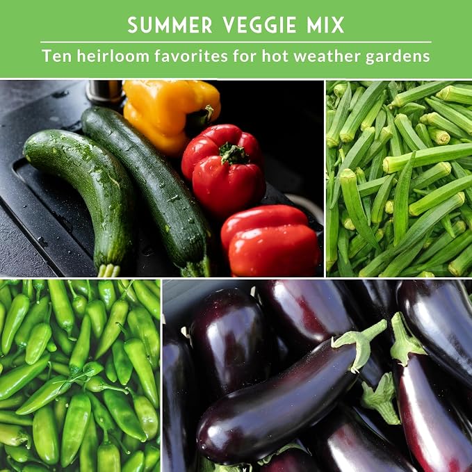 Summer Vegetable Garden Seeds - 10 Heirloom Non-GMO Variety Pack for Planting - Warm Weather Gardening Collection for Fresh Vegetables - Survival Garden Seeds