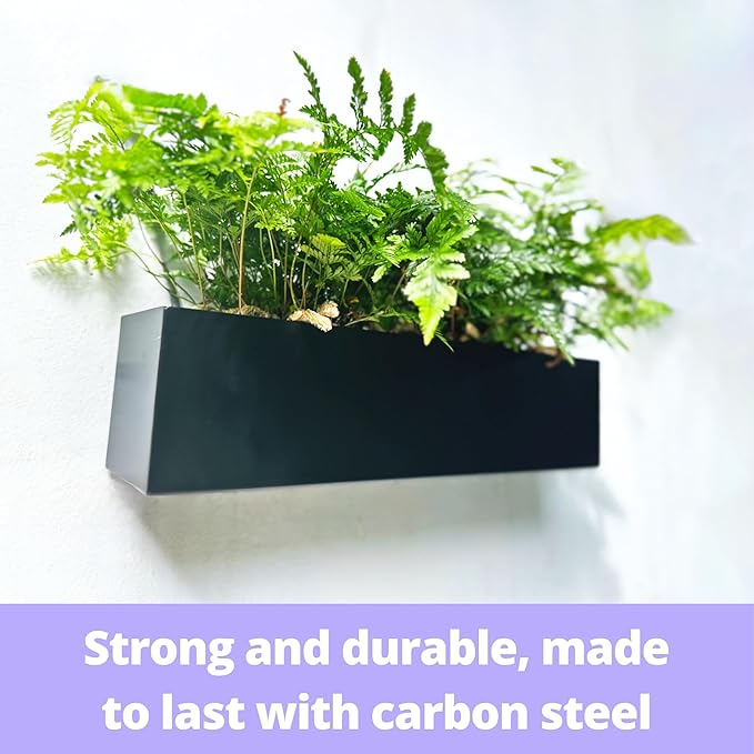 LaLaGreen Wall Planters for Outdoor Plants Carbon Steel Black Metal Hanging