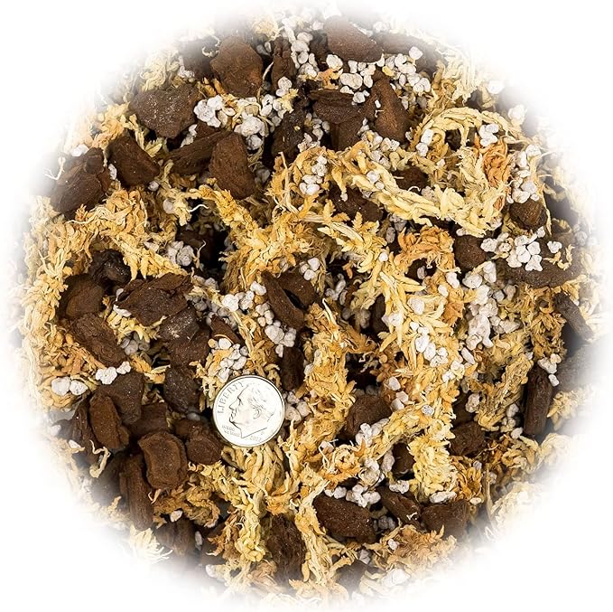 Premium Sphagnum Moss, Perlite and New Zealand Pine Bark Blend for Carnivorous Plants - Perfect for Venus Fly Traps, Pitcher Plants, Sarracenia, Butterworts, and Sundews by GARDENERA - 2 Quart Bag