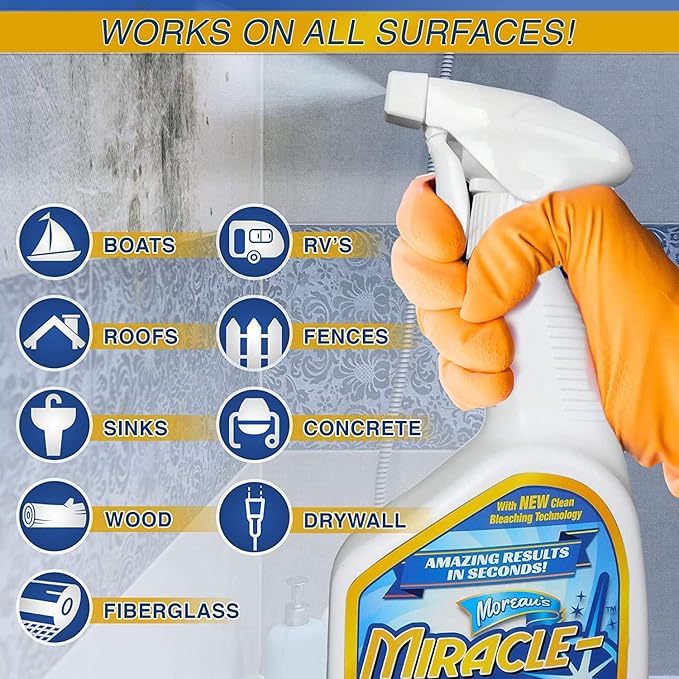 Instant Mold and Mildew Stain Remover 32 Oz. by Encore Coating | 2 Pack (64 Oz Spray)