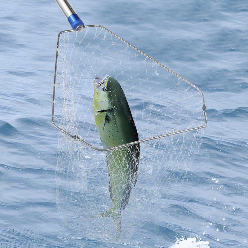 Chicken Catching Net ,Chicken Catcher Leg Hook , Extendable from 33" to 75.5" Made of Stainless Steel TubeSuitable for Catching Small Duck,Goose,Bird, Skunk Bat and Fishnet etc,（15.3 x 23.2 Inch Net）