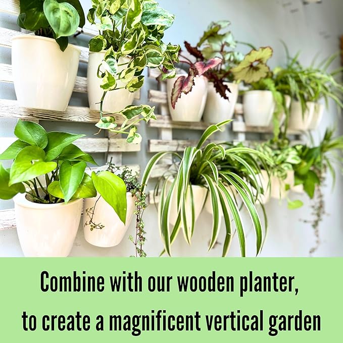 LaLaGreen Wall Mounted Planters