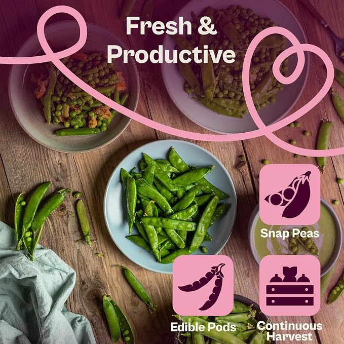 SVI 120 Cascadia Snap Pea Seeds (Pisum sativum) – Sugar Snap Peas, Sweet Peas Seed Packets, Pea Snaps Garden Seed Pack – Heirloom Vegetable Seeds Vegetable Garden, Raised Beds, Containers