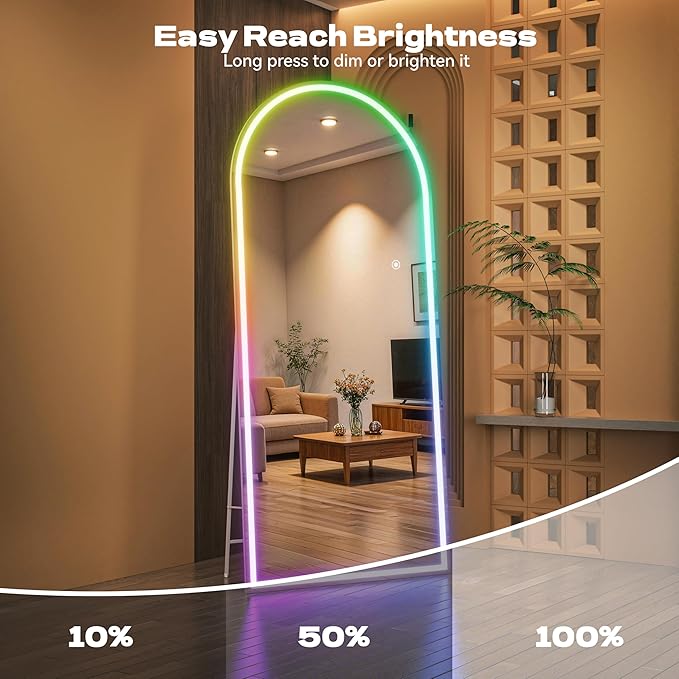 Hasipu Arch Full Length Mirror 83 x 36 in