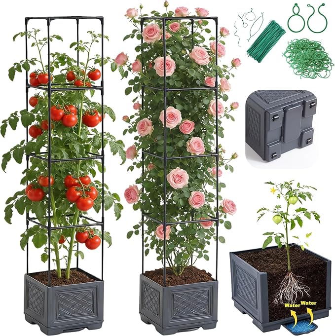 Tomato Planter Box with Trellis - Self-Watering Rolling Raised Garden Bed with Tomato Cages for Climbing Plants - Tomato Pots with Cage Plant Support for Flower Vegetable Vine Indoor Outdoor