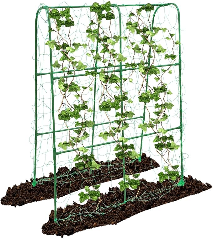 Compact U-Shaped Plant Trellis for Peas, Beans & Light Climbing Plants - Rust-Resistant, Foldable Design, Lightweight Steel, Ideal for Raised Beds & Patio Gardens(31" W x 47" H)
